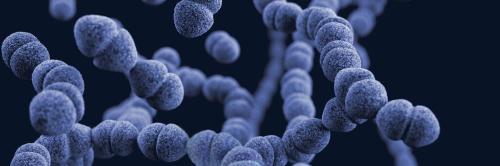 Mabritec AG | Specialists for the identification of bacteria